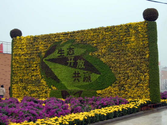 室外花卉绿植